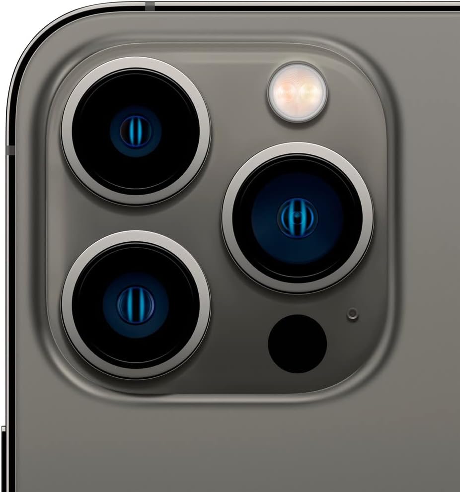 iPhone 13 Pro Max Usado