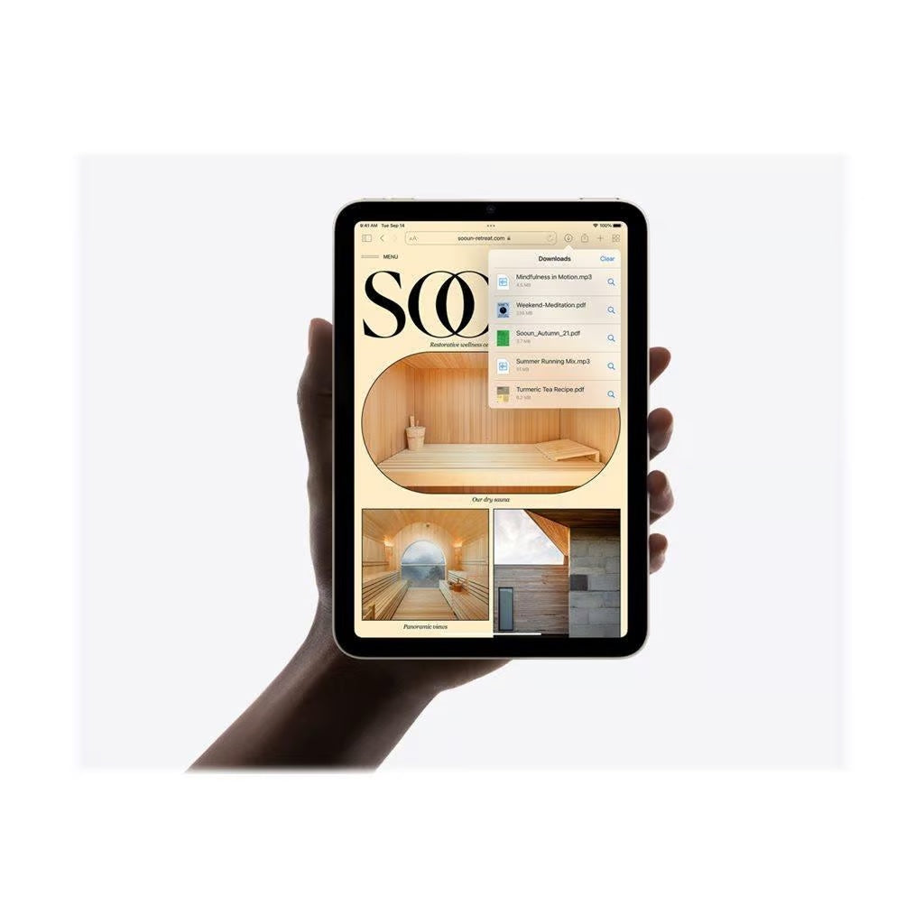 iPad mini (2021) 256GB - Space Gray - (Wi-Fi)