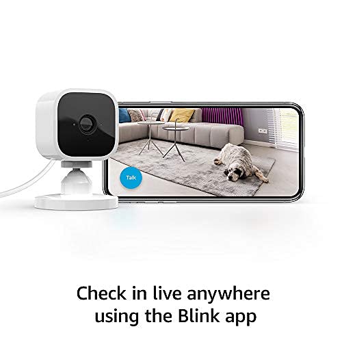 Blink Mini