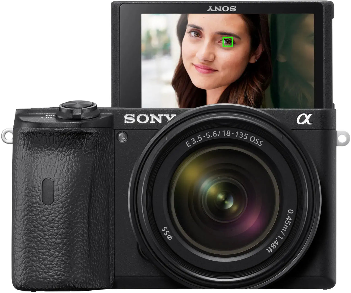 Sony A6600