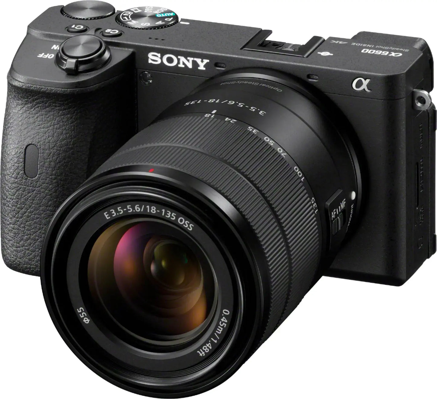 Sony A6600