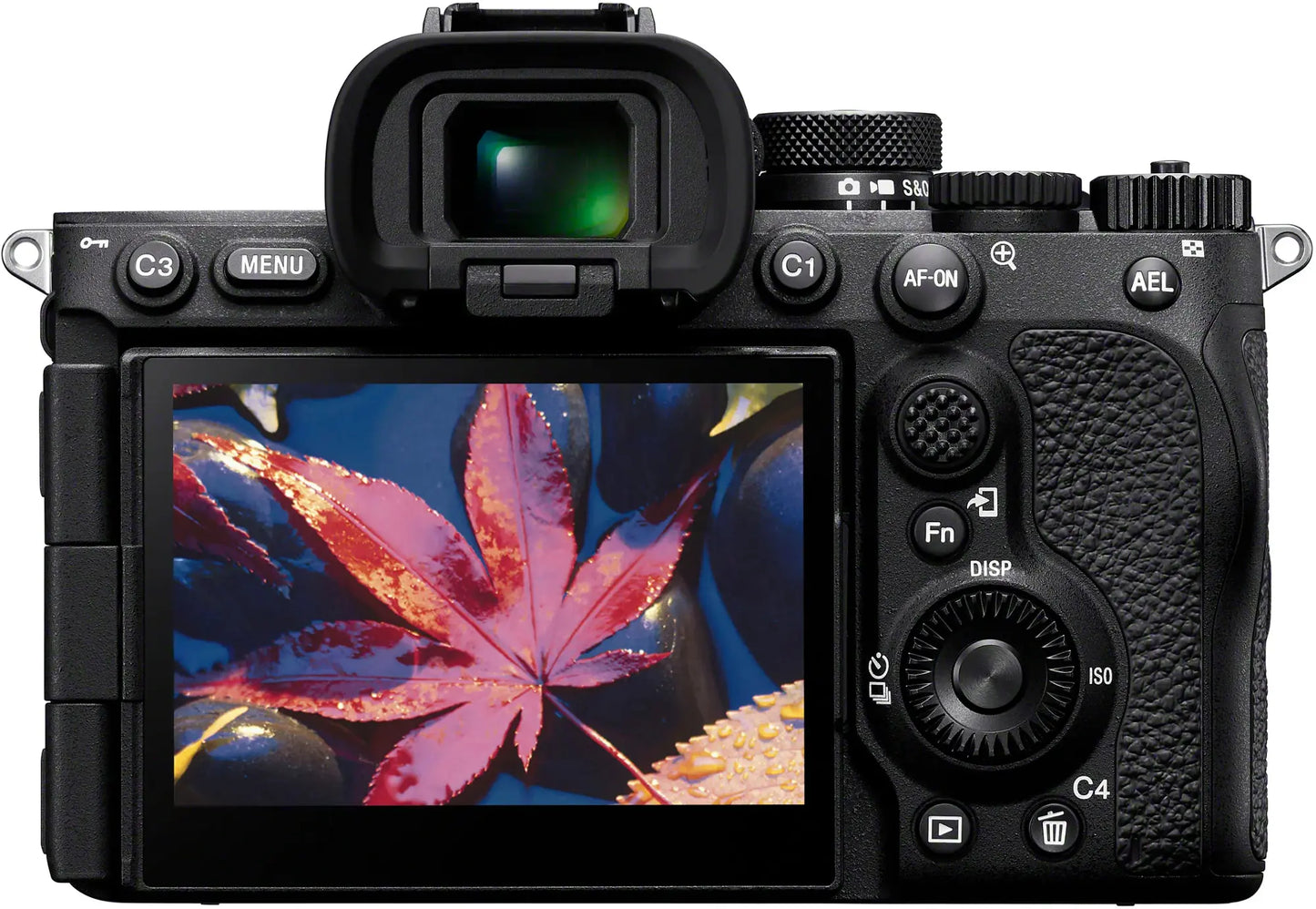 Sony A7RV