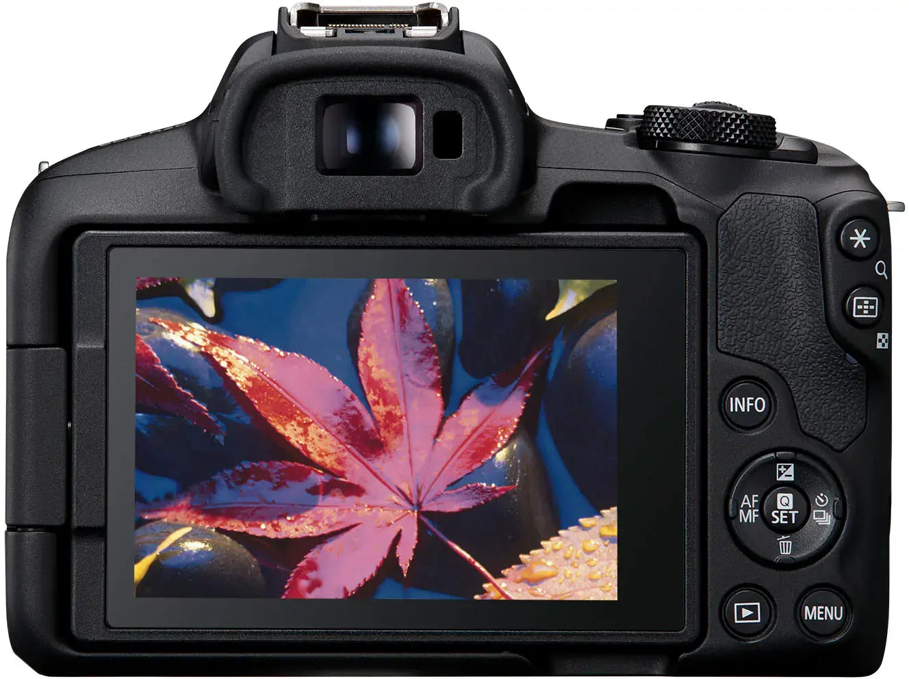 Canon R50
