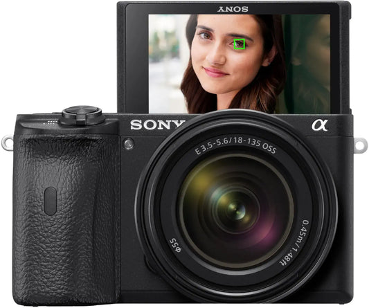 Sony A6600
